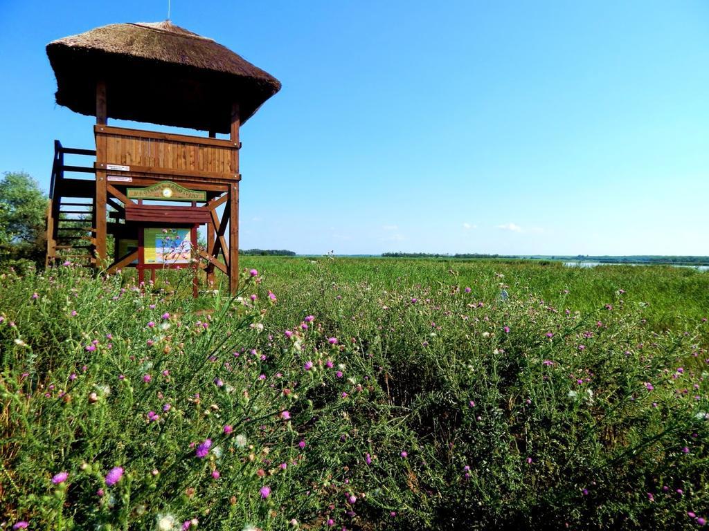 Wellness Apartments In Веленце Экстерьер фото