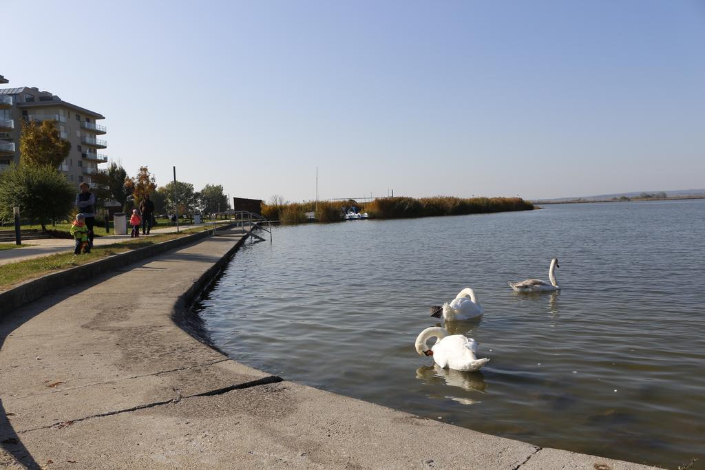 Wellness Apartments In Веленце Экстерьер фото